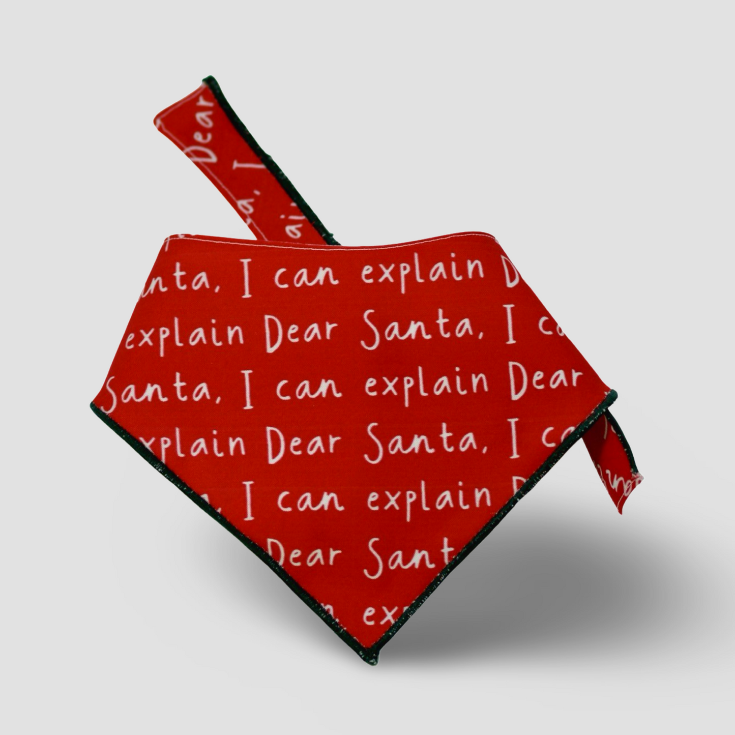 Dear Santa, I Can Explain