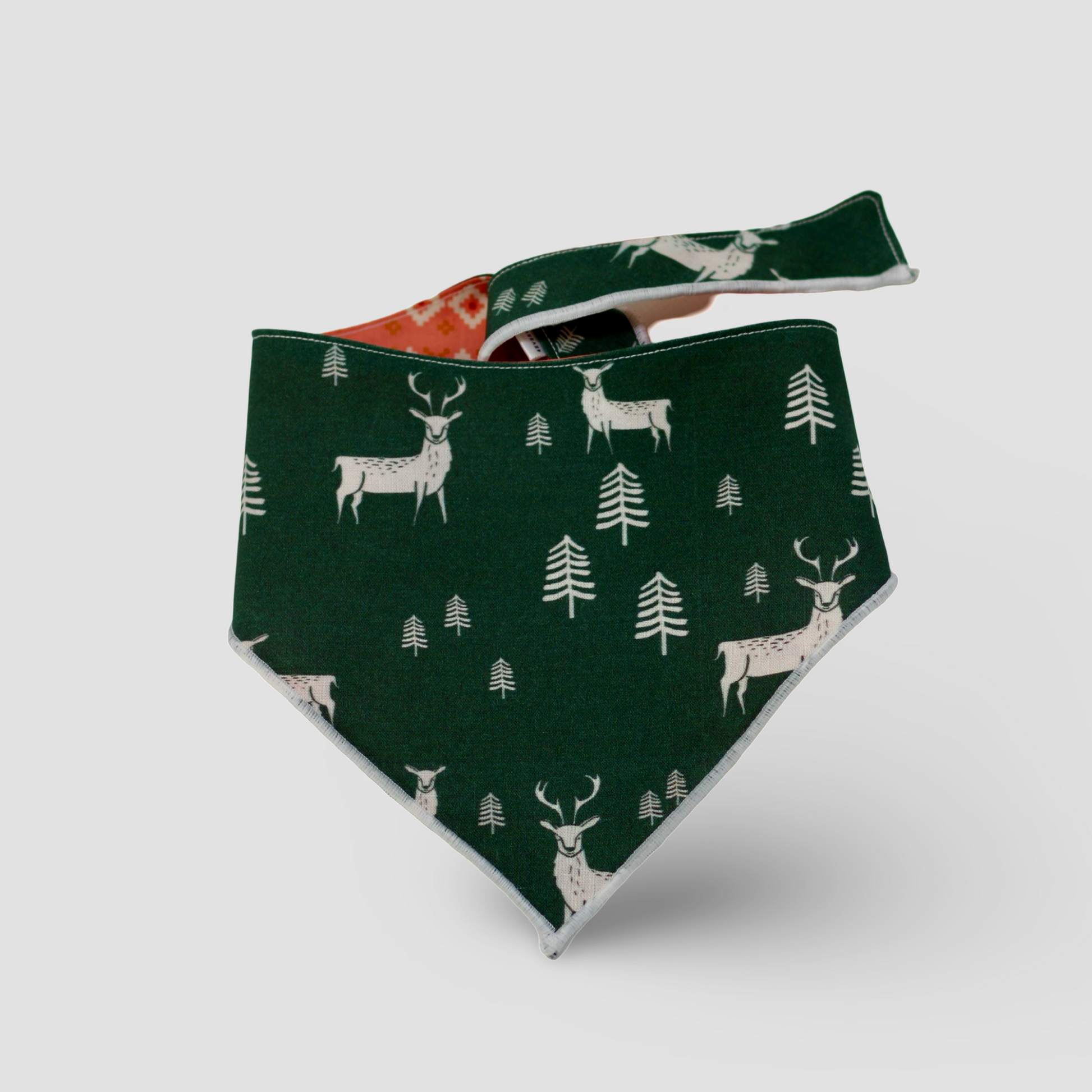 Winter Deer